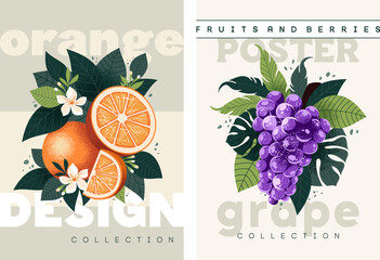 Set of fruit posters. Orange fruit and grapes with tropical leaves in stylish flat graphics. Template for advertising, prints, packaging and printing
