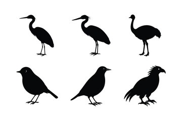 Obraz premium Bundle of Birds vector art