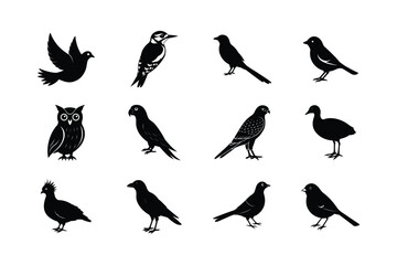 Collection of silhouettes of birds