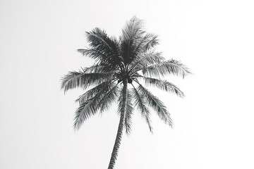 Stylish Gray Snapchat Palm Tree Icon: Tropical Vibes, Social Media, App Icon, Summer, Vacation, Island Getaway, Digital 