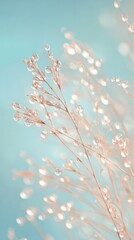 Naklejka premium Dew drops glistening on delicate plants in soft pastel tones