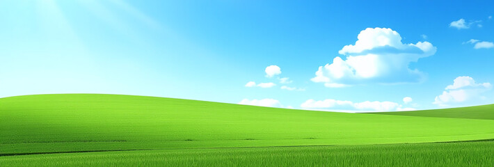 Obraz premium green field clear blue sky beautiful sunny