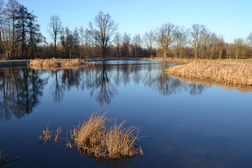 Ponds in Milicz