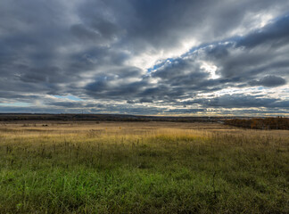 A field of grass with a cloudy sky in the background