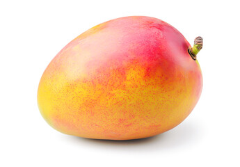 Isolated mango fruit on a white background with no shadow,