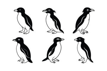 Rockhopper Penguin (Eudyptes chrysocome) animal design, labeled line art vector art illustration.