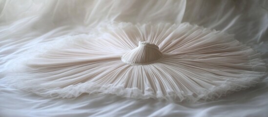 Elegant Pleated Tulle Skirt: A Dreamy Fashion Photography
