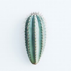 Naklejka premium A minimalistic cactus on a white background, clean aesthetic, modern simplicity