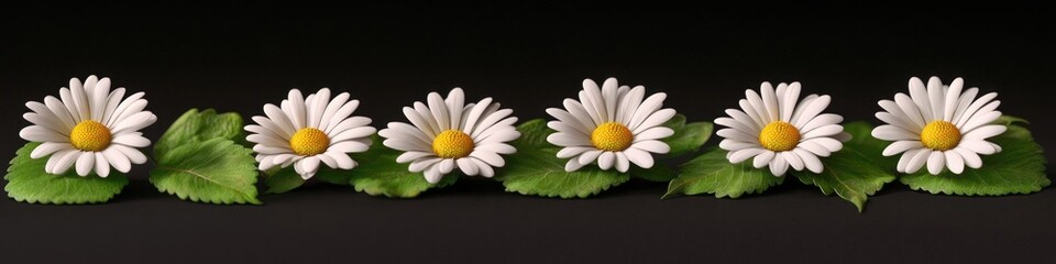 Obraz premium A row of white flowers with green leaves on a stem