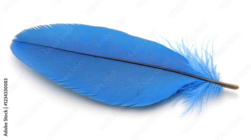 Poster delicate bright blue feather with intricate patterns and soft texture against clean white background