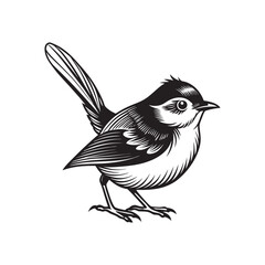 vector illustration of a bird