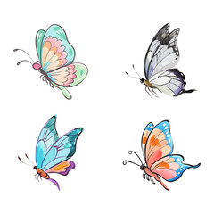  Flat Hand Draw Watercolour Butterfly Collection Vector Illustration