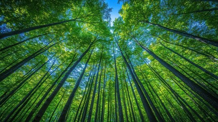 Unleash a forest of leadership wisdom, embrace growth