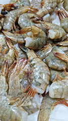 Selling raw shrimp in a supermarket. Fresh raw shrimps at the fish market. Seafood. Raw shrimp close-up