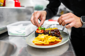 A chef garnishes a beautifully plated dish with chicken and fries in a professional kitchen. The focus is on attention to detail and culinary presentation.
