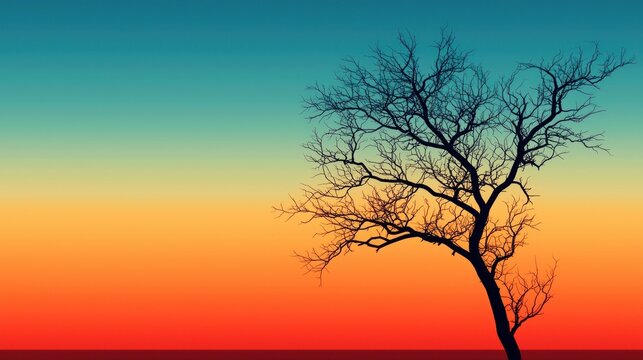 Bare tree silhouette against vibrant sunset sky