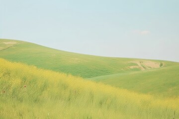 Obraz premium Summer land landscape outdoors.