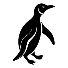 penguin illustration