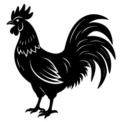 rooster isolated on white background