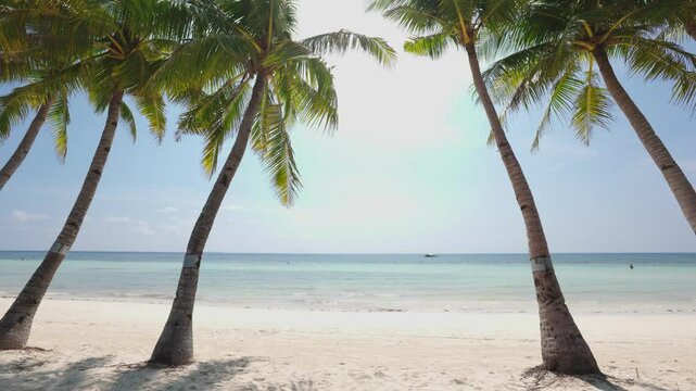 Walk pass palm trees towards water att beach in the Philippines