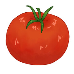 Tomato 
