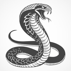 Fototapeta premium Snake with open mouth and teeth. Vector illustration with clear contours. Cobra symbolizes wisdom and knowledge. Оpen mouth shows the readiness to defend at any moment. Snake sketch for a tattoo.