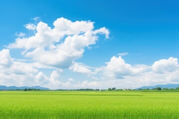 Fototapeta premium Photo of beautiful blue sky field outdoors horizon.