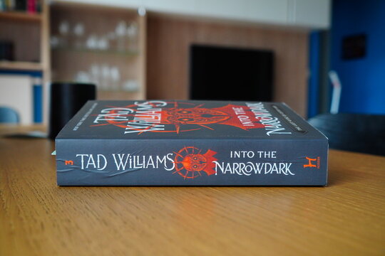 Tad Williams Into The Narrowdark book from the Last King of Osten Ard series