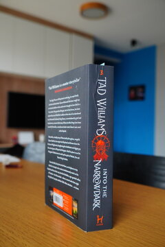 Tad Williams Into The Narrowdark book from the Last King of Osten Ard series