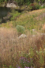 A stone standing in the wildflower fields.
