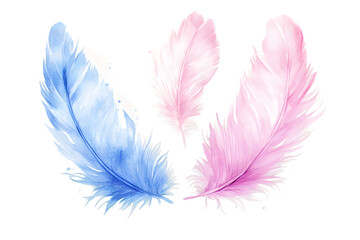 Watercolor Pink and Blue Feathers On A White Background, Transparent PNG