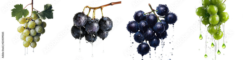 Poster fresh grapes with water droplets on a white background showcasing different varieties and colors