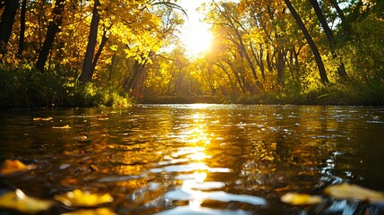 Golden Sunlight Illuminates Calm River in Autumn Forest