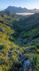 Mountain Valley Landscape With Lush Green Vegetation at Dawn
