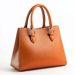 Handbag Isolated on white Background