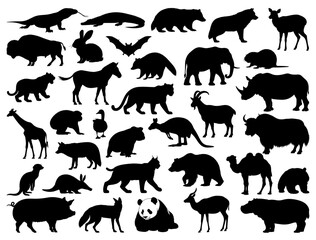 FOREST ANIMALS SILHOUETTE ON WHITE BACKGROUND