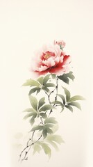 Flower plant petal peony.