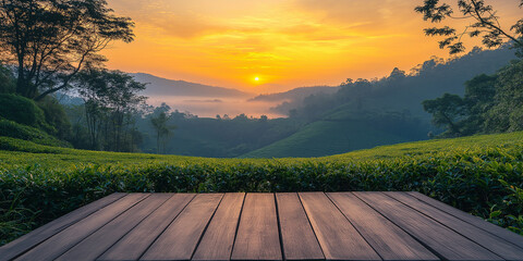 Sunrise serenity over rolling hills tea garden landscape photography lush green environment wide-angle view tranquil nature scene