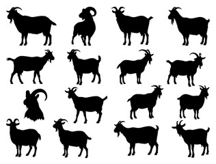 GOAT SILHOUETTE ON WHITE BACKGROUND