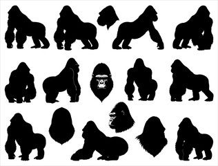 GORILLA SILHOUETTE ON WHITE BACKGROUND
