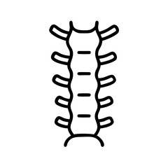 spine icon design