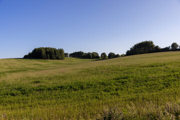 a field with valuable plants for feeding farm animals
