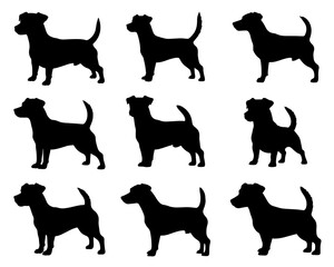 JACK RUSSEL TERRIER SILHOUETTE ON WHITE BACKGROUND