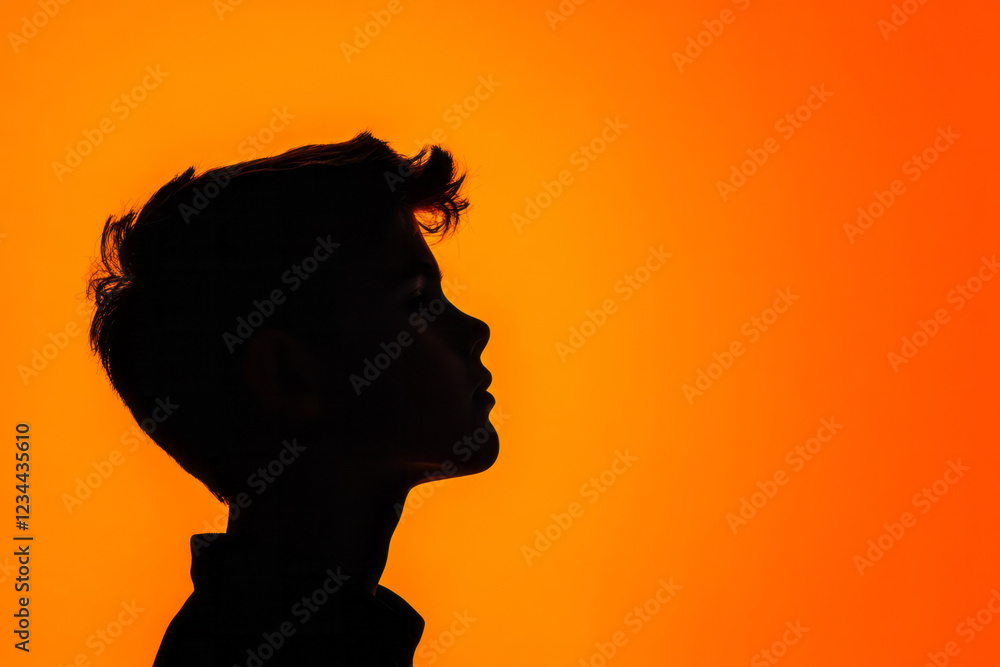 Poster a partial silhouette scenario where only the outline of the boyâ€™s head and shoulders is defined by