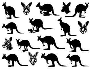 KANGAROO SILHOUETTE ON WHITE BACKGROUND