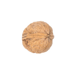 walnut