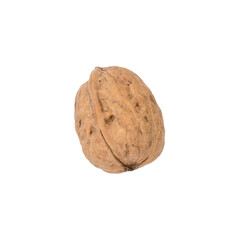 single walnut