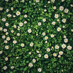 A lush green field filled with blooming daisies under natural light. Perfect for nature and spring themes.