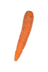 carrot isolated on white