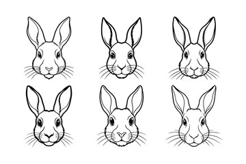 Snowshoe Hare (Lepus americanus) animal design, labeled line art vector art illustration.